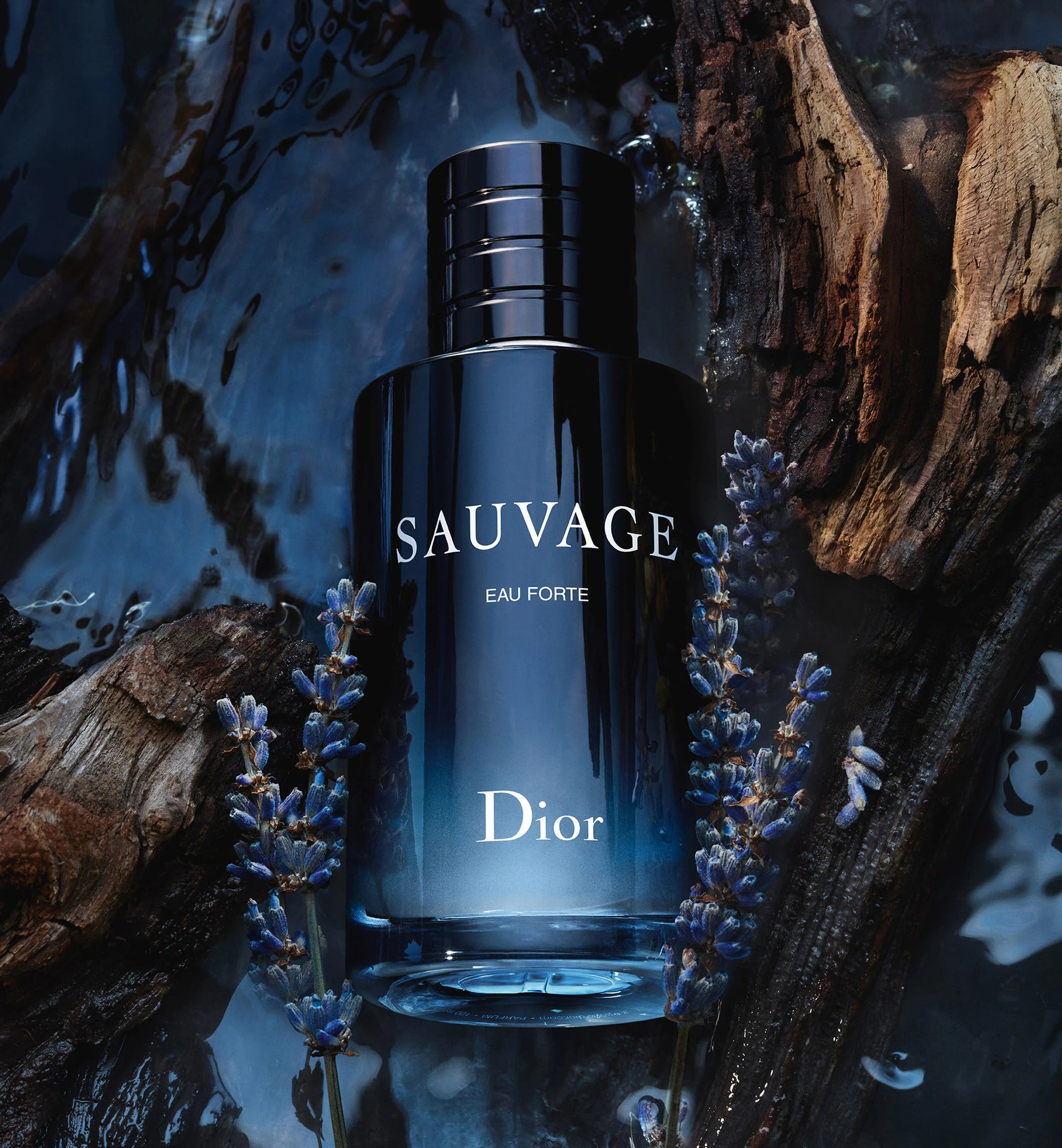 Dior Sauvage Edp 100 Ml Sauvage Perfume Long-lasting Fragrance
